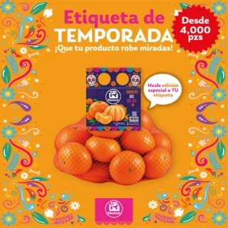 Instagram post from flexiredoficial. This post is in position 1.