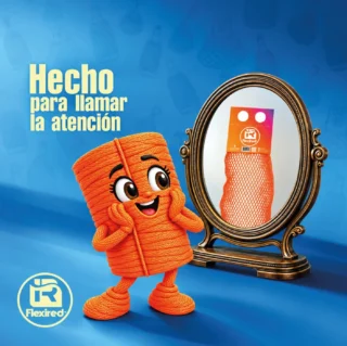 Instagram post from flexiredoficial. This post is in position 2.