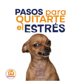 Instagram post from flexiredoficial. This post is in position 4.